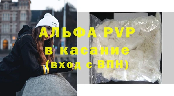 индика Алексин