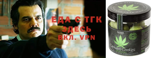 индика Алексин