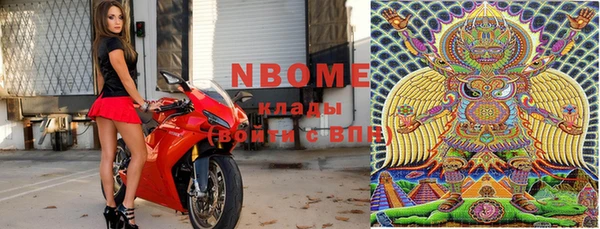 индика Алексин