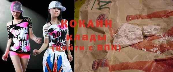 индика Алексин