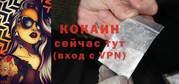 индика Алексин