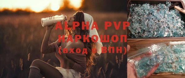 индика Алексин