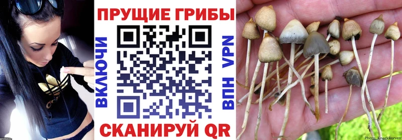 Псилоцибиновые грибы мухоморы  Анива 